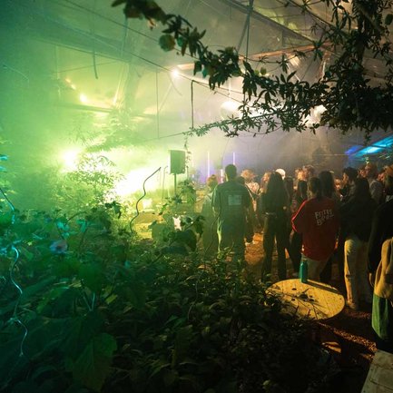 Beim Festgartenfest im Kulturgewächshaus Fürth sorgen DJs und Konzerte im Innenraum für tanzende Gäste