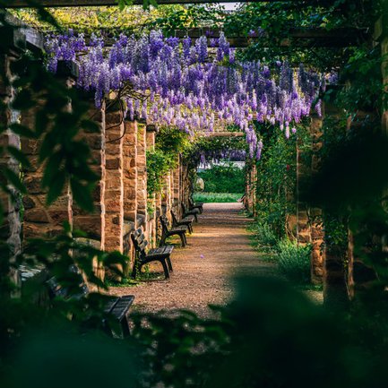 Grüner Weg im Fürther Stadtpark mit schattigen Parkbänken, die zu einer entspannten Pause einladen