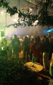 Besucher tanzen im beleuchteten Gewächshaus zwischen Pflanzen zu DJ-Musik beim Festgartenfest.