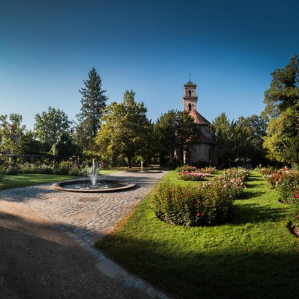 Rosengarten im Fürther Stadtpark mit sprudelnden Springbrunnen und Blick auf die Auferstehungskirche