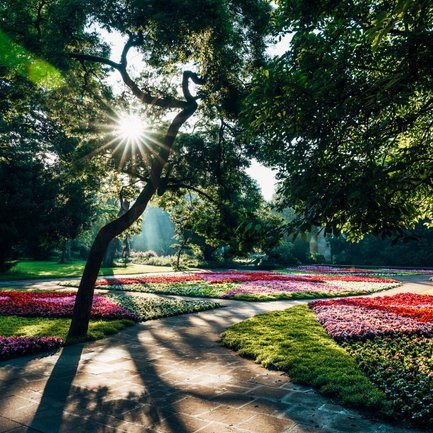 Farbenfrohe Blumenbeete im Empfangsgarten des Fürther Stadtparks an einem sonnigen Sommertag