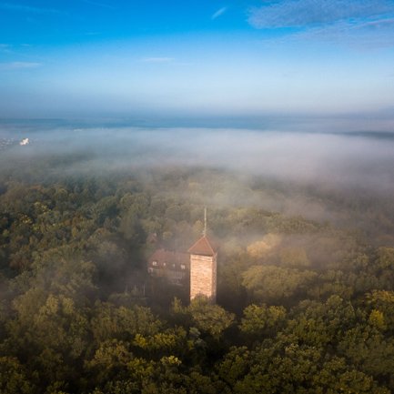 Die Alte Veste erhebt sich aus dichtem Nebel über dem Fürther Stadtwald – ein stimmungsvoller Morgenblick